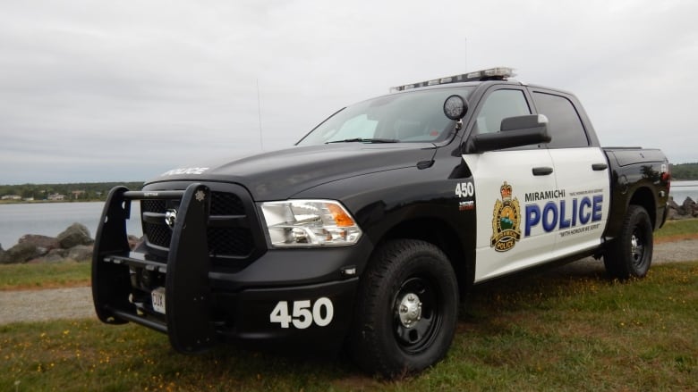 Police truck parked on grass