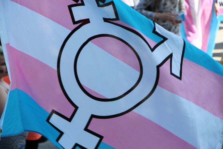 A blue, pink and white striped flag with a white symbol in the middle.