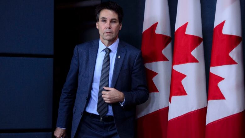 A man in a suit walks past a row of Canadian flags.