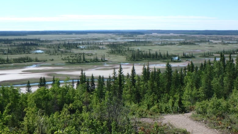 A view of a landscape of river and trees.