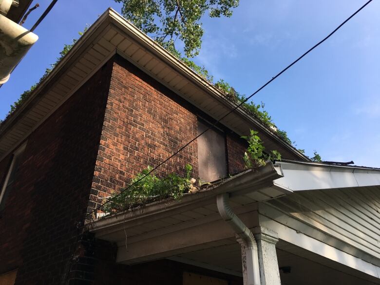 This vacant home on Peter Street is one the City of Windsor has been monitoring, and issuing orders, to improve the condition of the property.