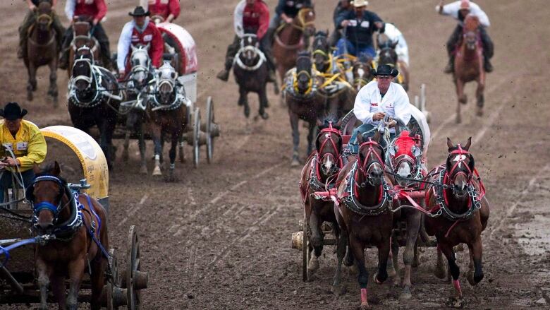 Horses are pictured.