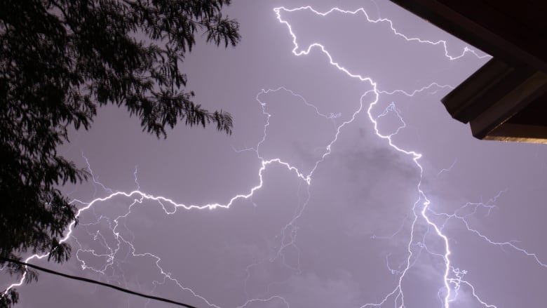 A bolt of lightning is seen. Some tree branches flank the lightning in the foreground.