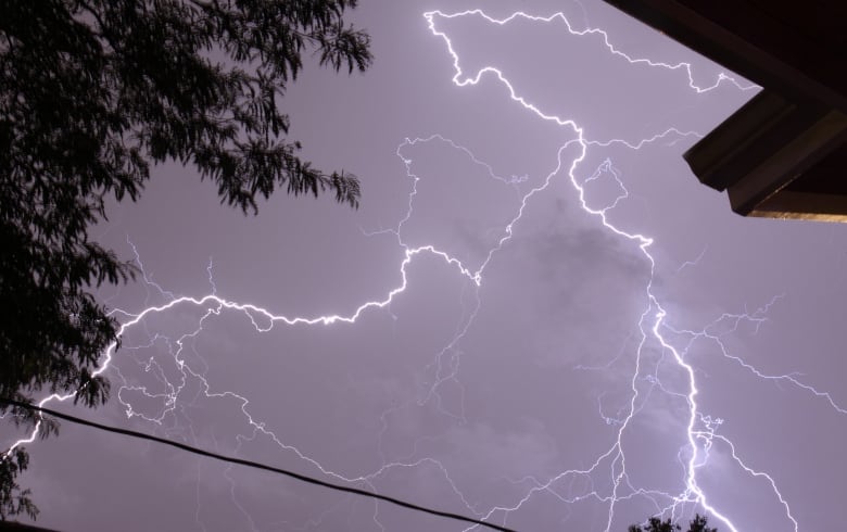 A bolt of lightning is seen. Some tree branches flank the lightning in the foreground.