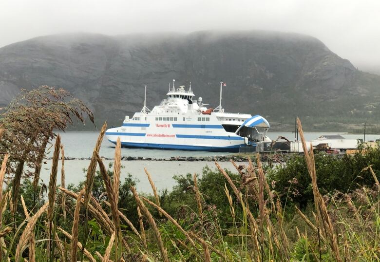 Large vessel in harbour. Mountains and fog in background. Plants in foreground.