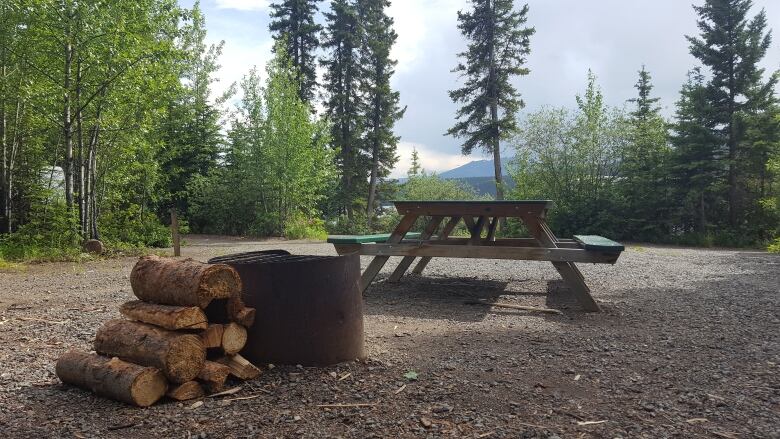 A fire pit, stack of firewood and picnic table are seen on an empty campsite.