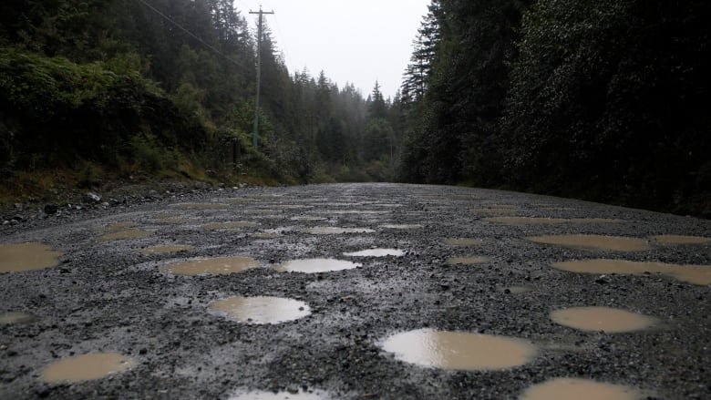 Many hundreds of potholes full of mud are seen on a dirt road surrounded by forest