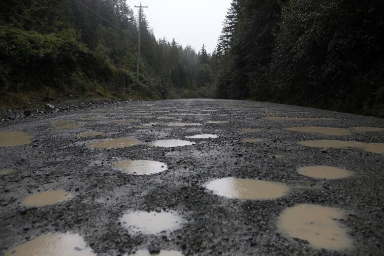 Many hundreds of potholes full of mud are seen on a dirt road surrounded by forest