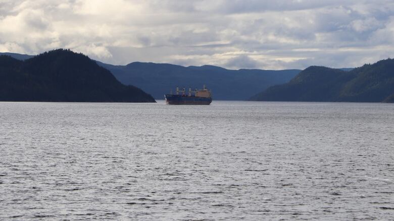 A ship crosses the water.