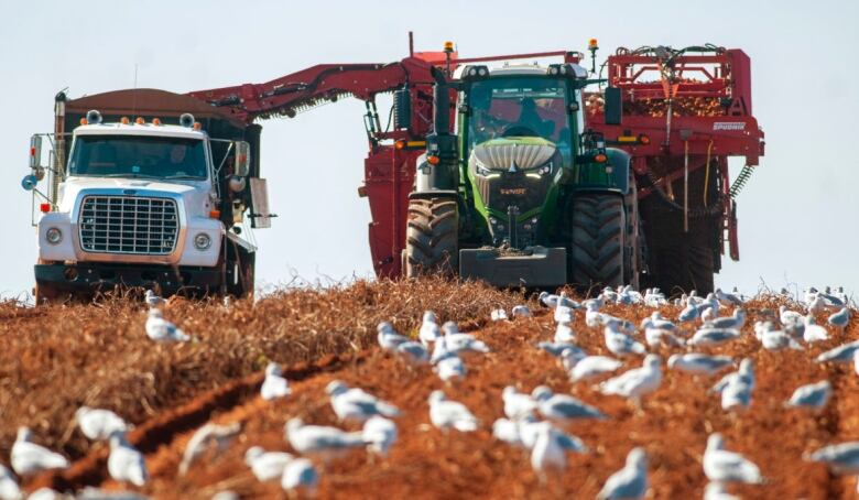 A tractor rolling over a field.