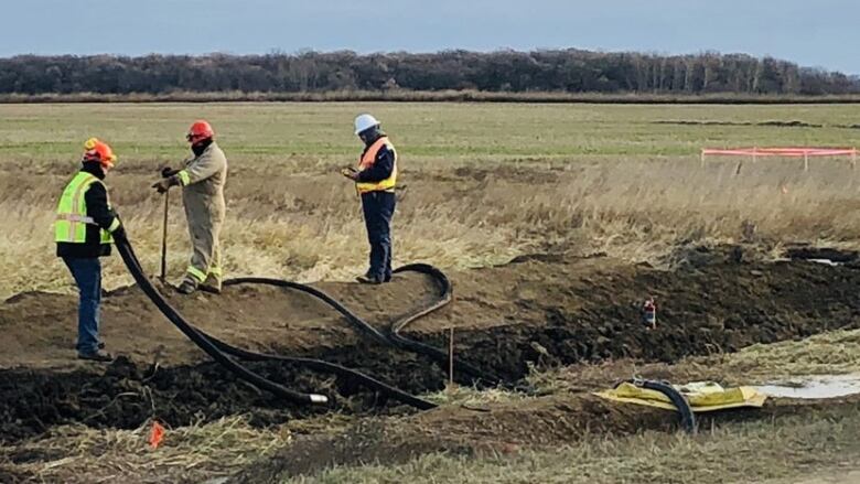 three workers stand with hoses in a field