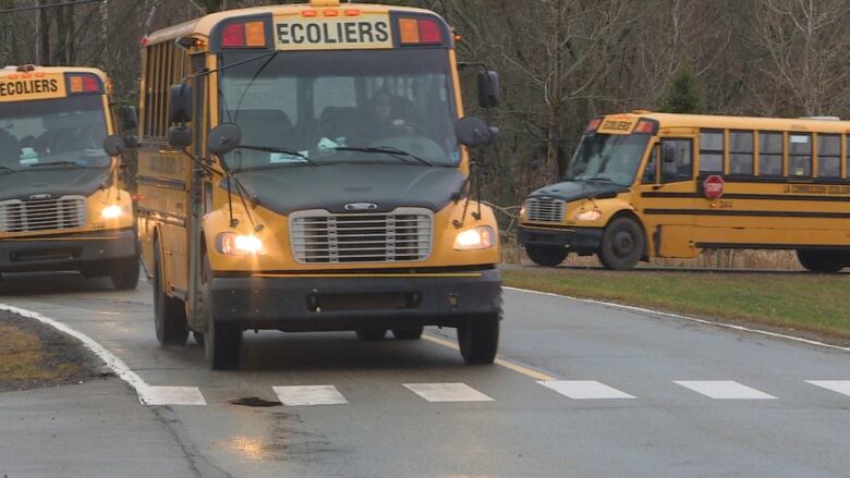 School buses from P.E.I. French Language School Board on the road.