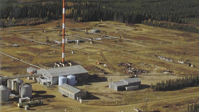 A mine surrounded by forest can be seen in the distance.