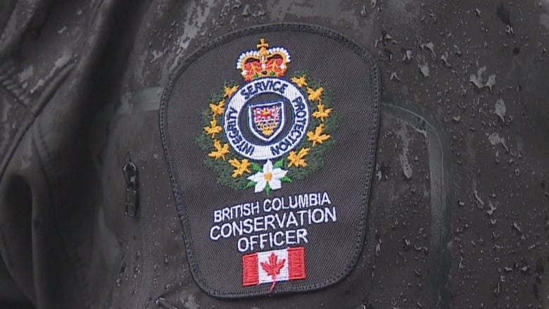 An up-close picture of a B.C. Conservation Officer's shoulder patch.