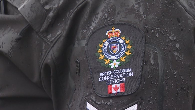 An up-close picture of a B.C. Conservation Officer's shoulder patch.