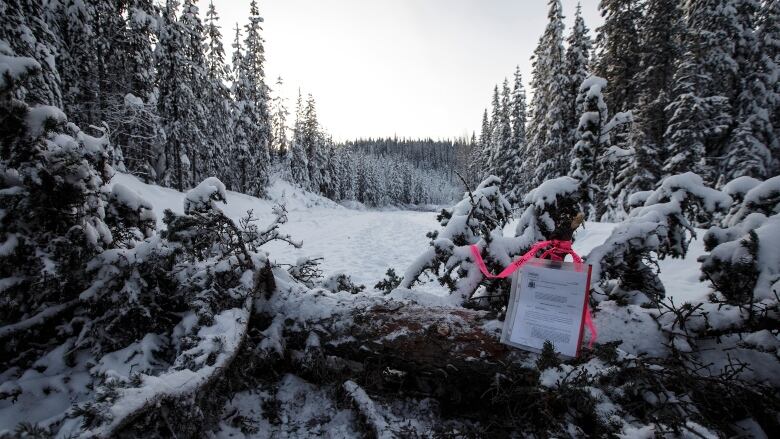 A paper sign sits taped to a snow-covered tree blocking a remote road through a forest.