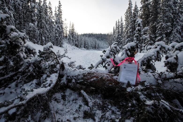 A paper sign sits taped to a snow-covered tree blocking a remote road through a forest.