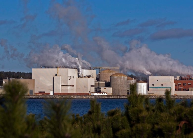 Steam comes from a pulp mill on the edge of water.