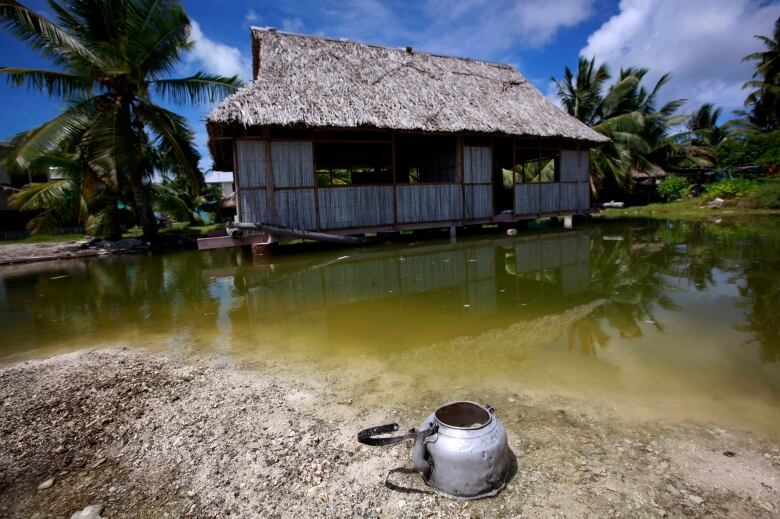 A home with a thatched roof is surrounded by water.