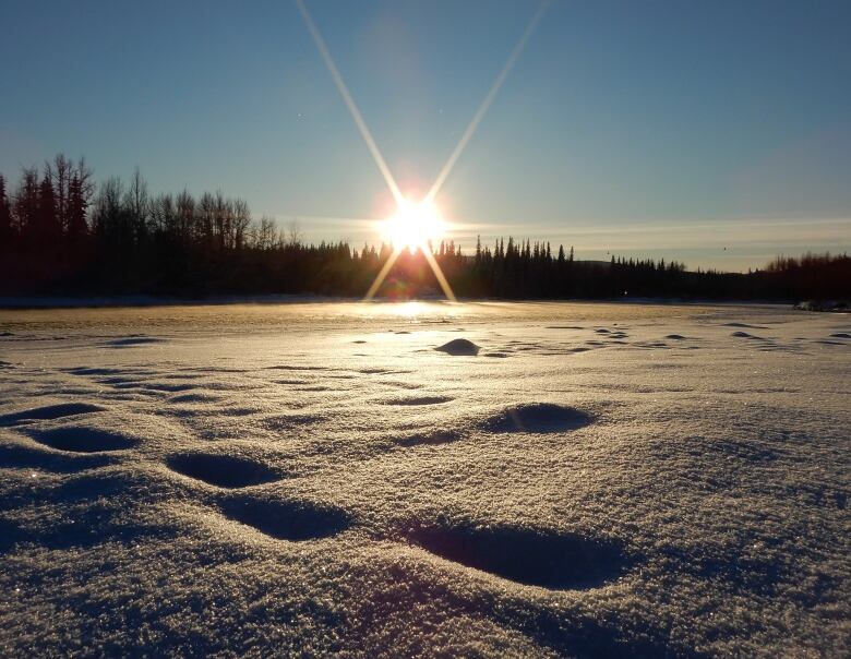 A wintery scene. 