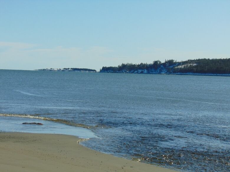 Ocean waves lap onto the beach.