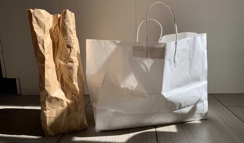 Two paper bags sit on the floor 