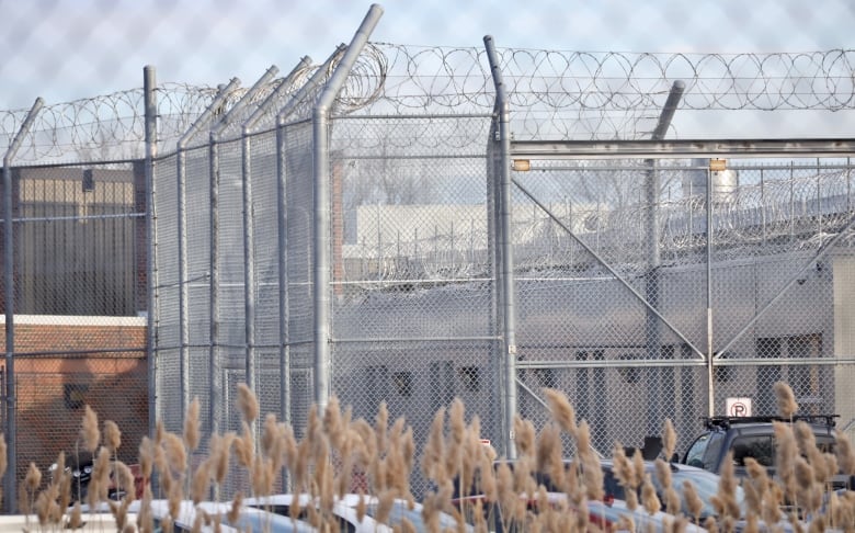 Chain link fence with barbed wire bordering a jail.