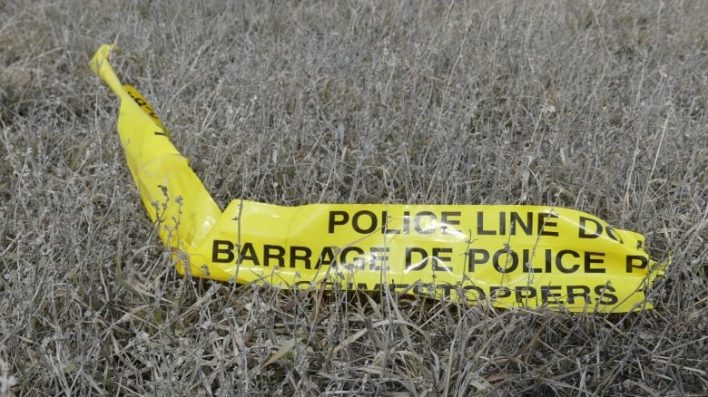 A ripped piece of police tape lays in grey, dead grass.