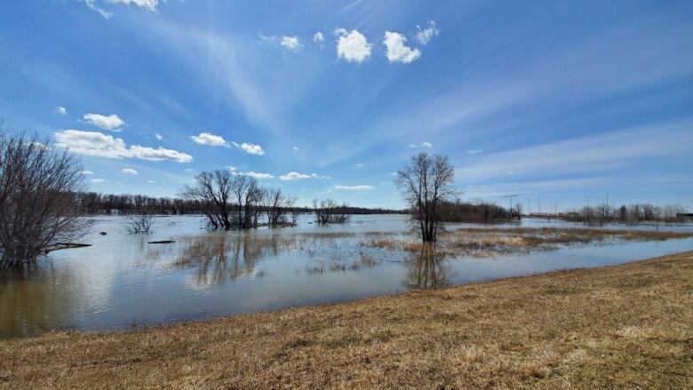 A flooded field near a river.