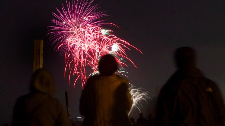 Shadows of people standing in front of firework display.