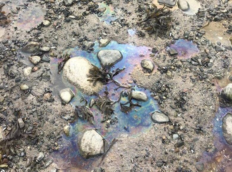 Colourful puddles show water and a type of oil on sand. 