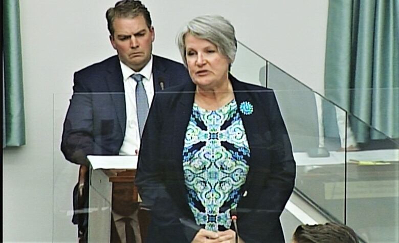 PEI Finance Minister Darlene Compton seen in a screen grab from the legislature