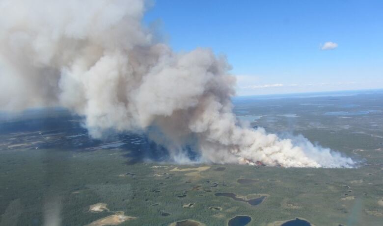 Smoke rising from forest.