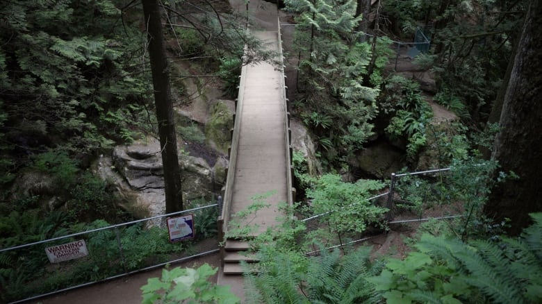 A wooden bridge with trees on either side.