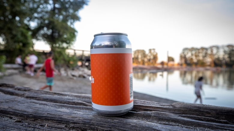 A beer can with an orange label placed on a log at a beach with people playing along the shoreline behind.