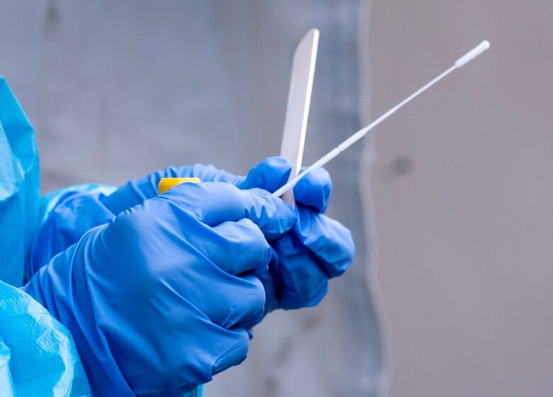 a gloved hand holds a long cotton swab