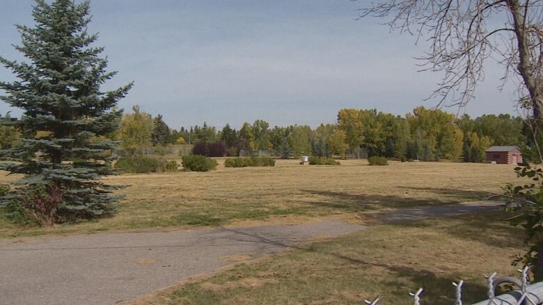 A large, open grassy area with trees and small bushes.