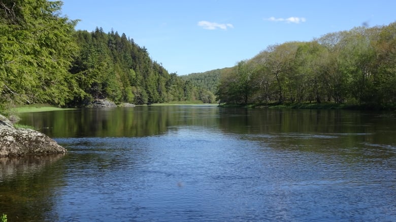 A river flows through a heavily forested area.