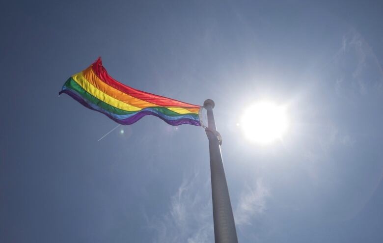 A rainbow flag waves in the wind on a pole. The blue sky is the background.