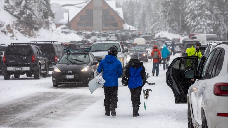 Snowboarders and skiers are pictured walking in a snowy parking lot at a ski resort. The lodge is seen in the distance. parked vehicles fill the parking lot. There are large coniferous trees covered in snow on either side.