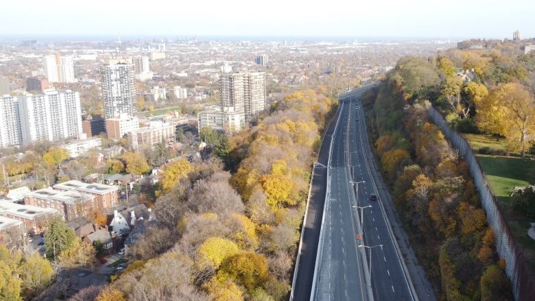 road surrounded by trees