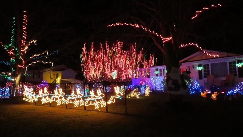 A driveway with a huge Christmas lights display.