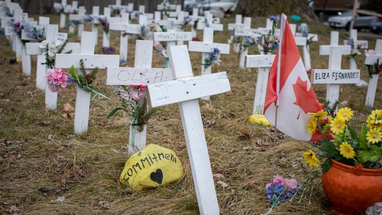 Crosses on a lawn.