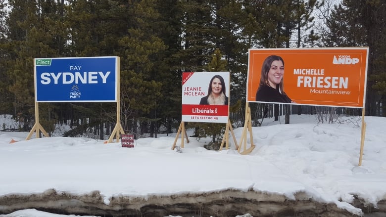 Election signs in a snowy area.