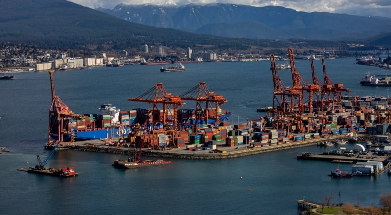 On a river sits a cargo ship docked at a port with colorful storage boxes on the ship and on land. Red cranes are pulling cargo off the ship. In the water you can see small boats and other cargo vessels with small blue cranes. In the background you can see buildings at the base of some mountains. 