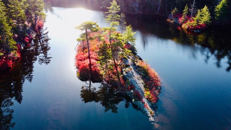 An overhead view of colourful trees in the fall and blue water