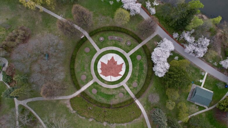 Drone shot of High Park cherry blossoms in bloom on 27 Apr 2021, Again this year, the city has fenced-off the blossoming trees due to COVID-19. See Maple Leaf Garden.