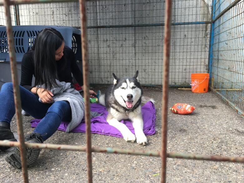 Photo depicts a BC SPCA Evacuation Centre volunteer sitting with an evacuated pet during a previous wildfire season in B.C. when an organization spokesperson said it was a scramble to collect and deploy resources.