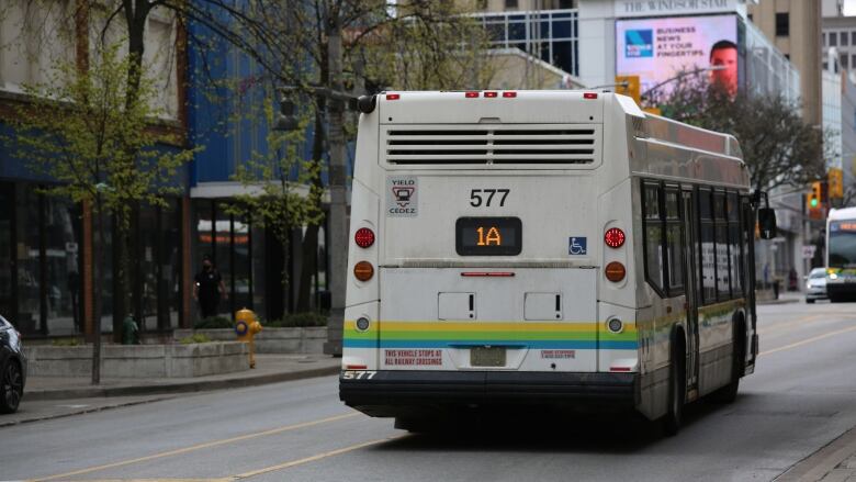 Transit Windsor bus is shown driving.