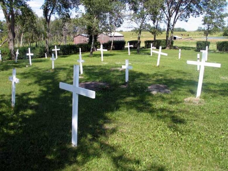 White crosses stand in a green field.